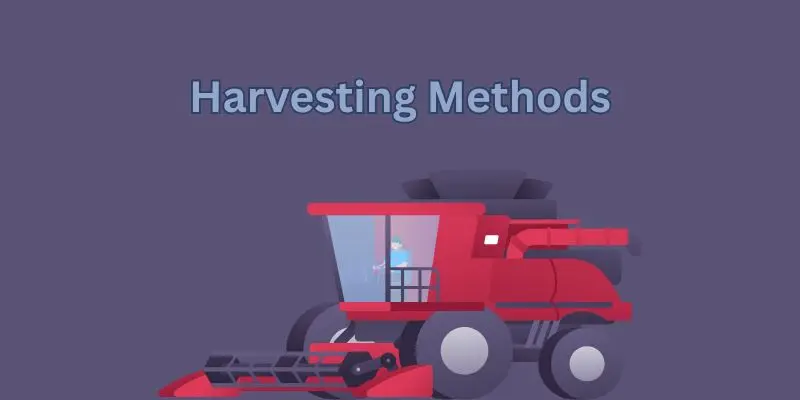 harvesting method

