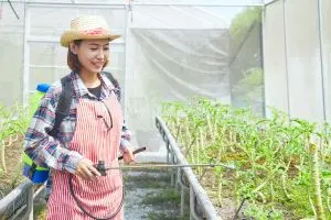 Biofertilizers Application: Cultivating Life Beneath the Soil