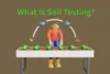 Soil Testing: The First Step Toward a Healthier Farm and a Stronger Future - Post Thumbnail
