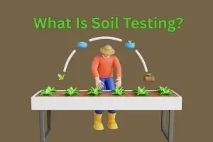 Soil Testing: The First Step Toward a Healthier Farm and a Stronger Future