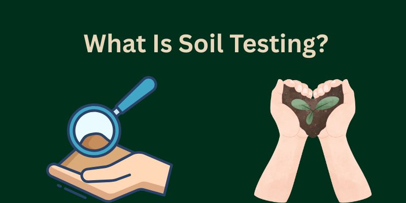 Soil Testing: The First Step Toward A Healthier Farm And A Stronger Future 1 soil Testing