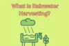 Rainwater Harvesting: Saving Every Drop, Securing Every Future - Post Thumbnail