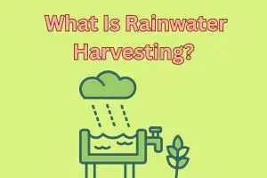 Rainwater Harvesting: Saving Every Drop, Securing Every Future