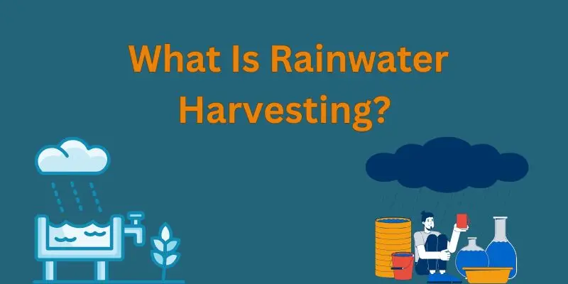 Rainwater Harvesting: Saving Every Drop, Securing Every Future 1 rainwater harvesting