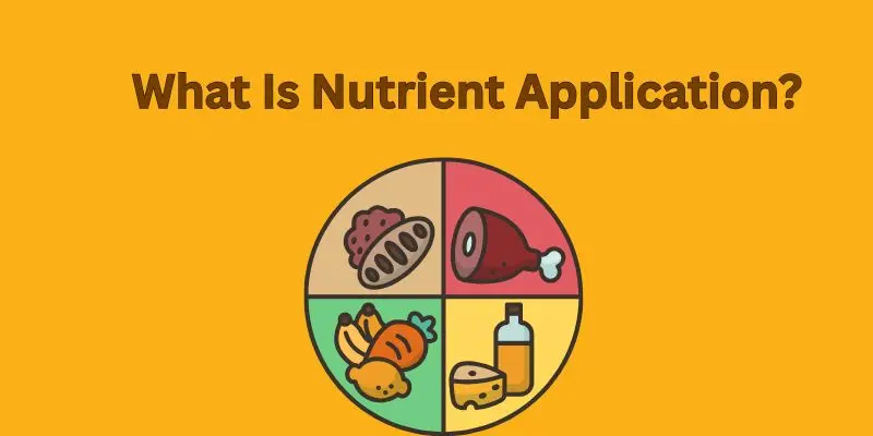 Complete Guide To Nutrient Application For Maximum Crop Yield 1 Nutrient application