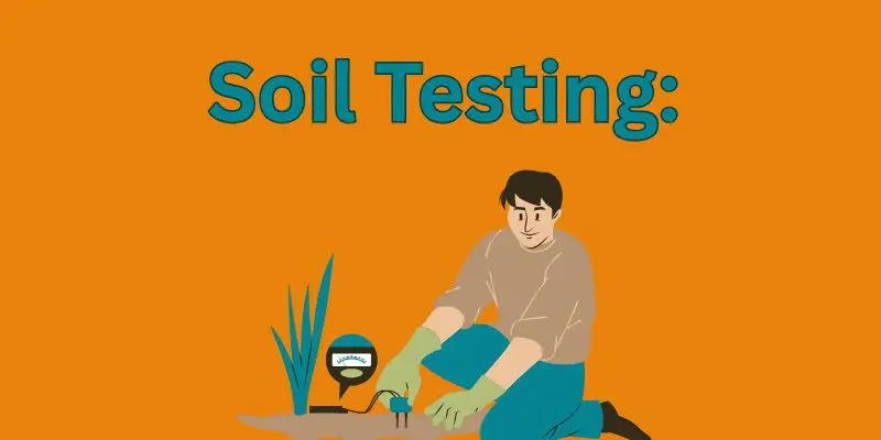 Complete Guide To Nutrient Application For Maximum Crop Yield 2 soil testing