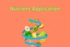 Complete Guide to Nutrient Application for Maximum Crop Yield - Post Thumbnail