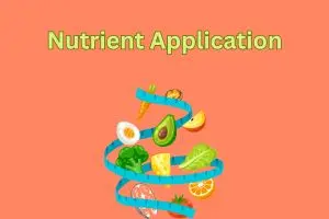 Complete Guide to Nutrient Application for Maximum Crop Yield