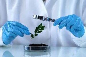 The Real Impact of Agrochemicals: Power, Risk, and the Future of Farming