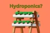 No Soil, No Problem: Discover the Magic of Hydroponic Growing - Post Thumbnail