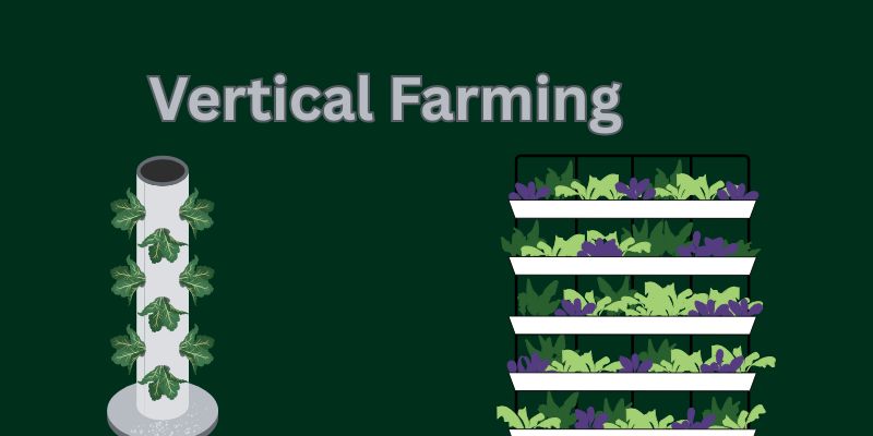 verticle farming
