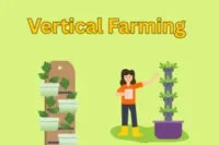 Vertical Farming: The Future of Food is Growing Up, Not Out