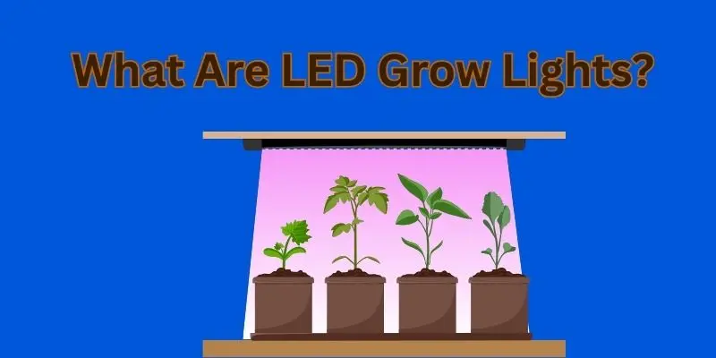 Light Up Your Indoor Garden: Discover The Power And Potential Of Led Grow Lights 1 led grow light