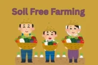 Soil-Free Farming Methods: Revolutionizing How We Grow Food