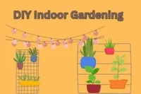 DIY Indoor Gardening Ideas: Turn Your Home into a Living Sanctuary