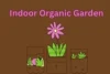 Indoor Organic Garden. Grow a Healthier, Happier Life at Home - Post Thumbnail