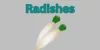 What Vegetables Grow Best Indoors .A Beginner’s Guide - Post Thumbnail