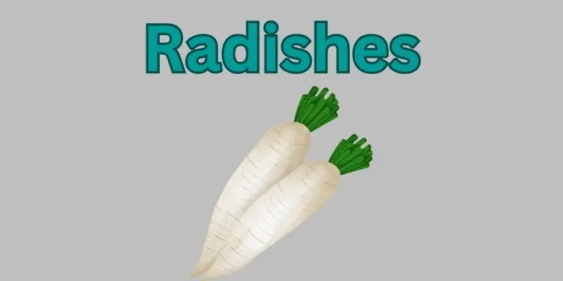 What Vegetables Grow Best Indoors .A Beginner’s Guide 2 radishes