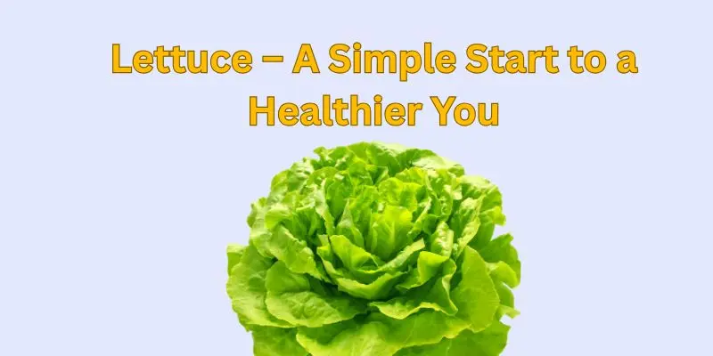 What Vegetables To Grow Indoors. Fresh Food Without A Garden! 1 lettuce a simple start
