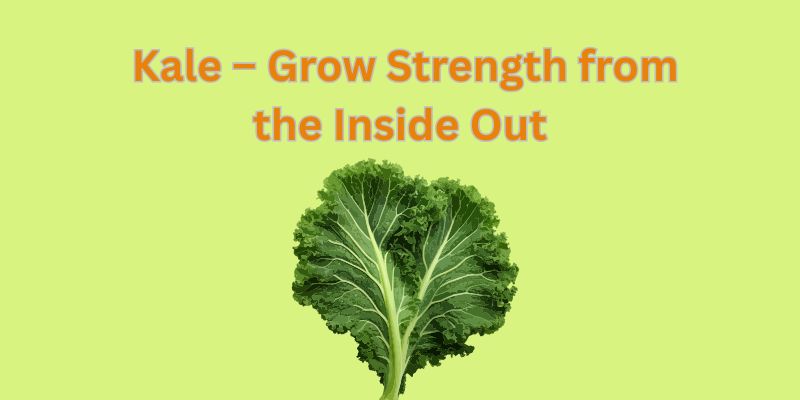 What Vegetables To Grow Indoors. Fresh Food Without A Garden! 2 kale growstrenthfrom the inide out
