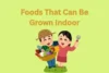 Foods That Can Be Grown Indoors .Fresh, Fast, and Pesticide-Free - Post Thumbnail