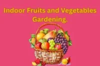 Indoor Fruits and Vegetables Gardening. Grow Freshness Where You Live