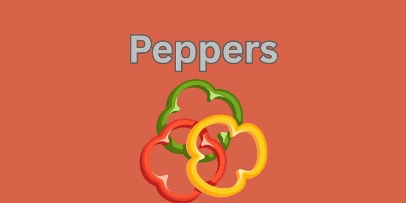 Easiest Foods To Grow Indoors. Freshness At Your Fingertips 2 pepper