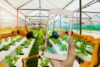 How Is AI Used in Agriculture. The Rise of Intelligent Farming in a Digital World - Post Thumbnail