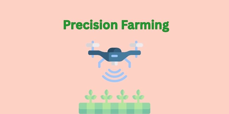 Benefits Of Artificial Intelligence In Agriculture: A Smarter Future For Farming 1 precision farming