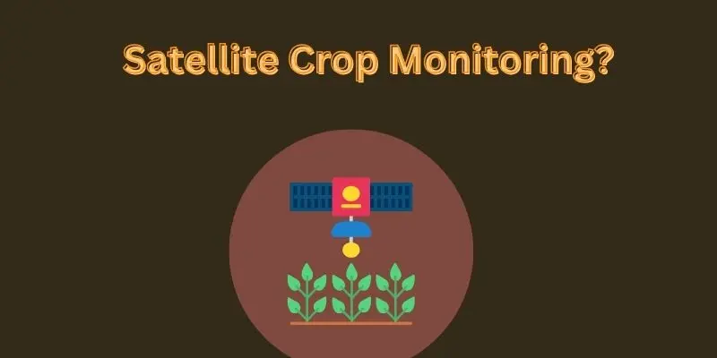Satellite Crop Monitoring: The Smart Way To Farm From The Sky 1 stellite crop monitoring