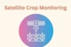 Satellite Crop Monitoring: The Smart Way to Farm from the Sky - Post Thumbnail