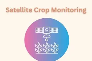 Satellite Crop Monitoring: The Smart Way to Farm from the Sky