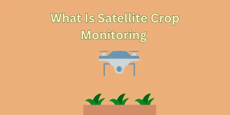 Satellite Crop Monitoring Made Easy.a Simple Guide To Smarter, Healthier Farming 1 satellite crop mnitoring