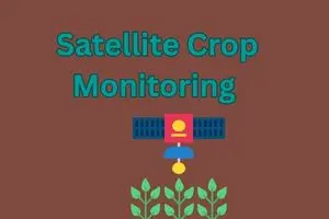 Satellite Crop Monitoring Made Easy.A Simple Guide to Smarter, Healthier Farming