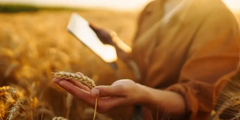 Smart Crop Sensors. Farming Smarter, Growing Stronger 1 smart crop sensor