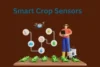 Smart Crop Sensors. Farming Smarter, Growing Stronger - Post Thumbnail