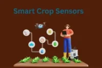 Smart Crop Sensors. Farming Smarter, Growing Stronger