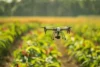 AI in Agriculture (AgriTech) . Smart Farming and Food Security - Post Thumbnail
