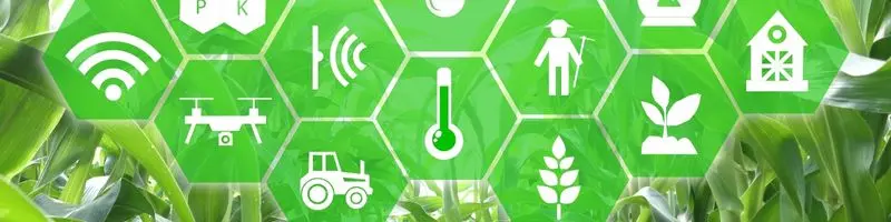 Food Safety With Ai: Protecting Every Bite We Eat 1 Ai Sensor