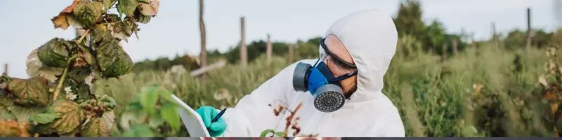 Artificial Intelligence Techniques For Smart Weed Management 3 robotic weed control