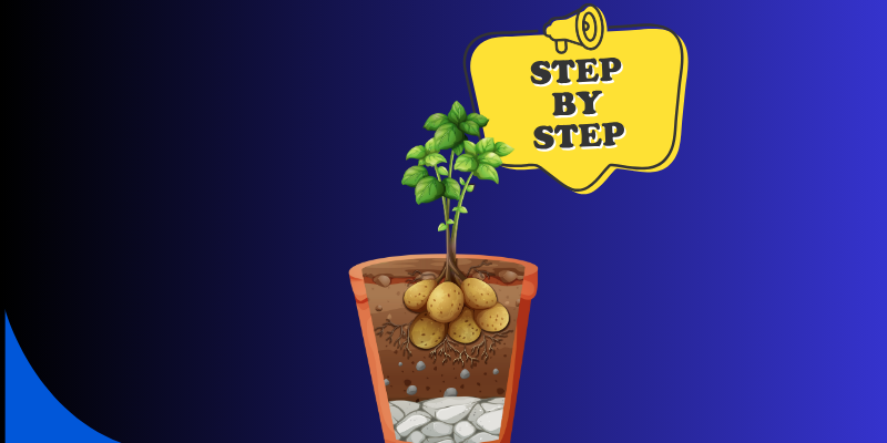 Step-By-Step Guide To Growing Potatoes 1 Green Orange Illustrative Why Email Marketing is Important Presentation 300 x 200 px 800 x 400 px 800 x 200 px 300 x 200 px 800 x 400 px 300 x 200 px 800 x 400 px 800 x 200 px 800 10 1