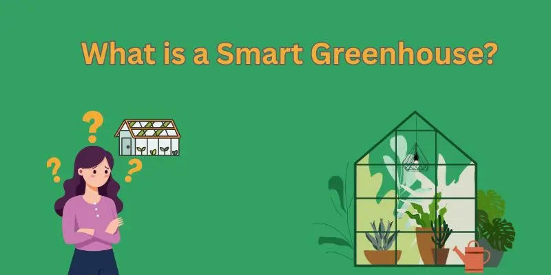 Smart Greenhouses For Vegetable Farming: A Revolution In Sustainable Agriculture 1 smart green house