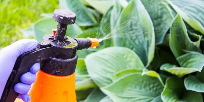 Smart Greenhouses For Vegetable Farming: A Revolution In Sustainable Agriculture 2 Protection from climate extreme