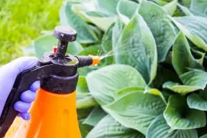 Smart Greenhouses for Vegetable Farming: A Revolution in Sustainable Agriculture