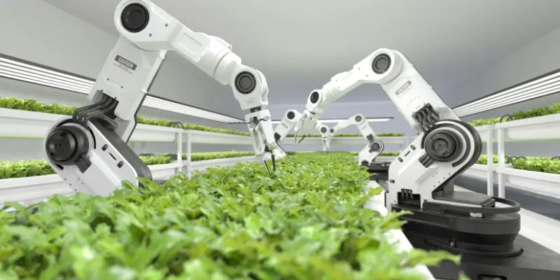 Farm Automation Using Robotics: Cultivating The Future, One Machine At A Time 1 Green Orange Illustrative Why Email Marketing is Important Presentation 300 x 200 px 800 x 400 px 800 x 200 px 300 x 200 px 800 x 400 px 300 x 200 px 800 x 400 px 800 x 200 px 800 20