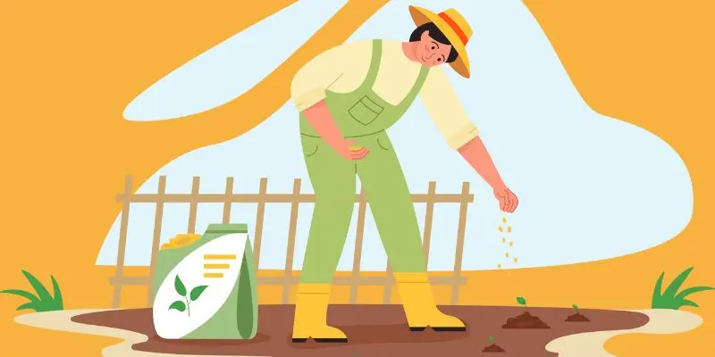 How To Grow Wheat In Small Fields: A Step-By-Step Guide For Beginners 2 Green Orange Illustrative Why Email Marketing is Important Presentation 300 x 200 px 800 x 400 px 800 x 200 px 300 x 200 px 800 x 400 px 300 x 200 px 800 x 400 px 800 x 200 px 800 47