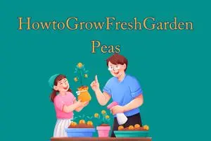 How to Grow Fresh Garden Peas: A Simple and Rewarding Guide for Home Gardeners