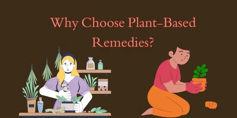 Plant-Based Remedies From Your Garden: How To Grow And Use Natural Healing Herbs At Home 1 why chse plant