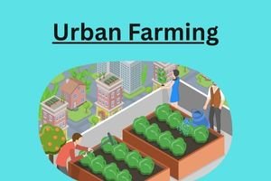 Urban Farming Pros and Cons: A Practical Guide for Modern Home Growers