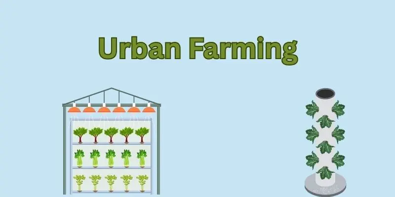 Urban Farming Methods: A Helpful Guide For Modern City Growers 1 urban farming
